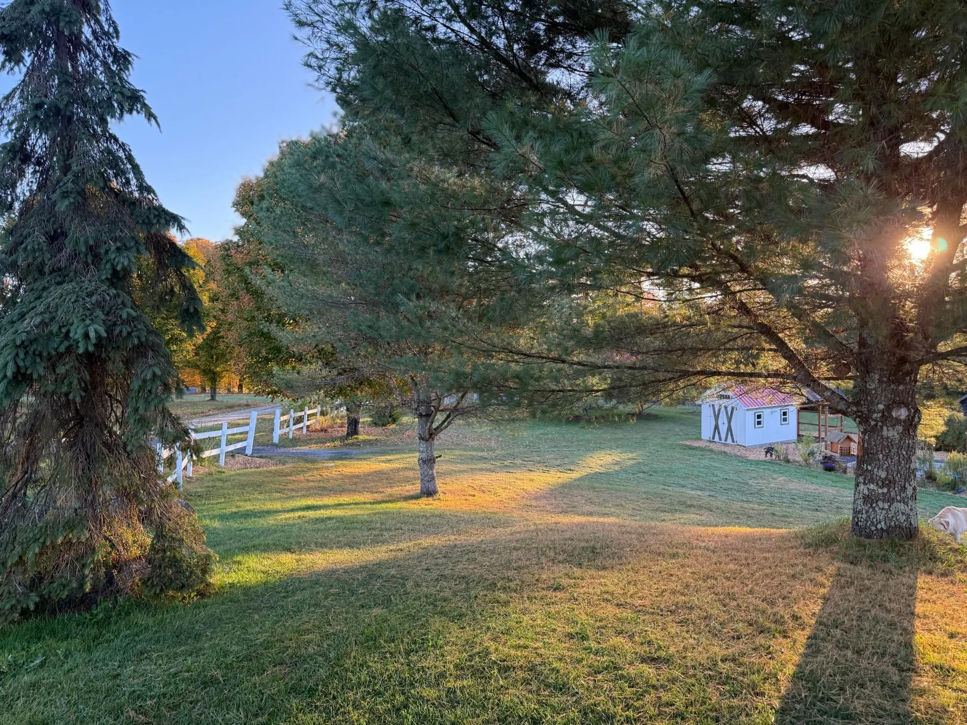 1417 Maple Ridge Road Newark VT 05871