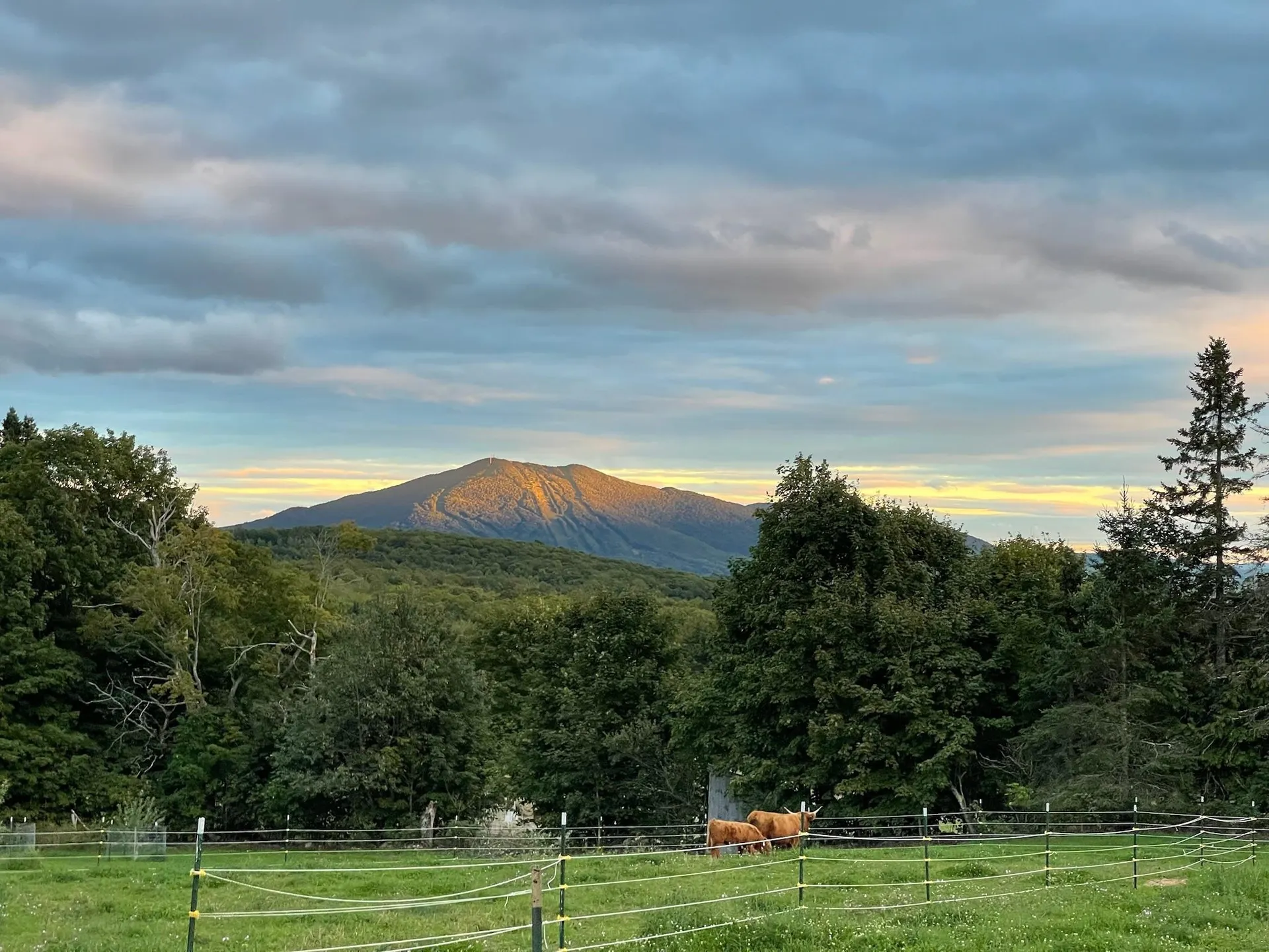 1417 Maple Ridge Road Newark VT 05871