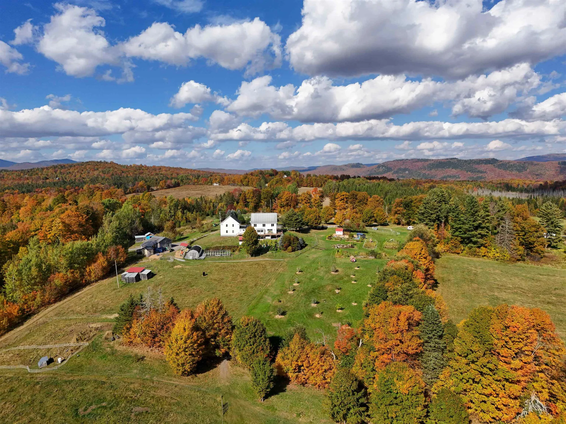 1417 Maple Ridge Road Newark VT 05871