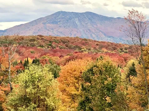 1417 Maple Ridge Road Newark VT 05871