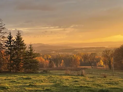 1417 Maple Ridge Road Newark VT 05871