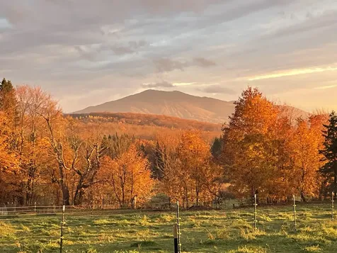 1417 Maple Ridge Road Newark VT 05871