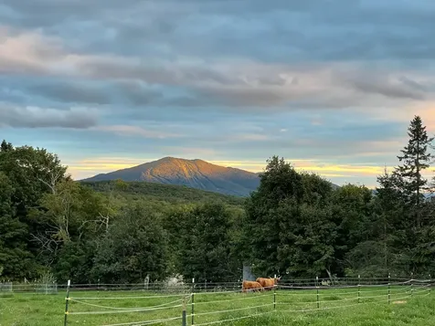 1417 Maple Ridge Road Newark VT 05871