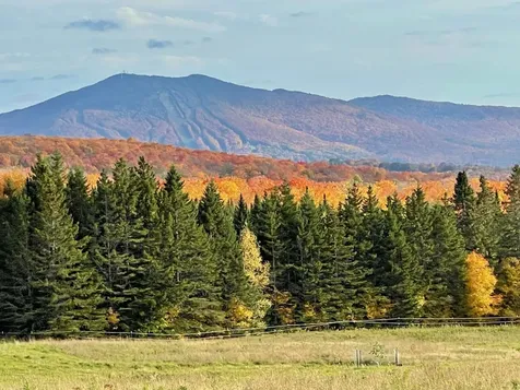 1417 Maple Ridge Road Newark VT 05871