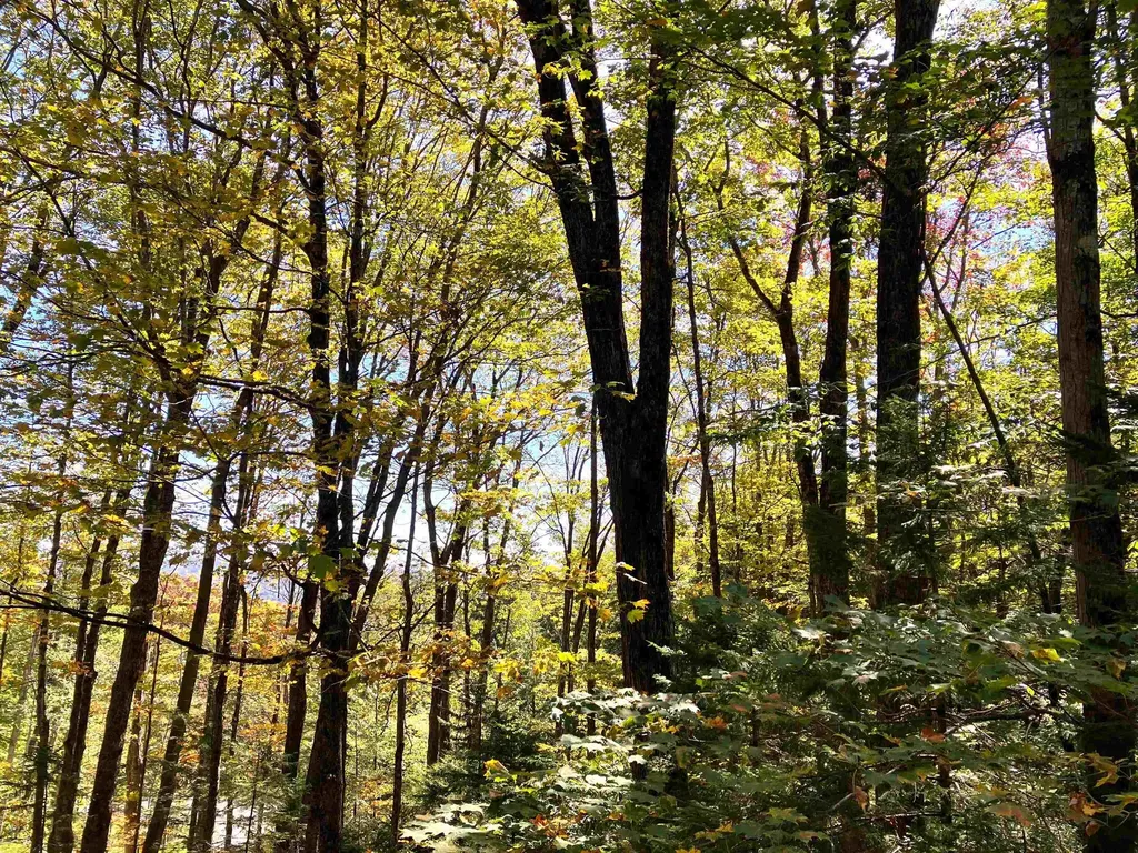 8 Little Bend Wilmington VT 05363