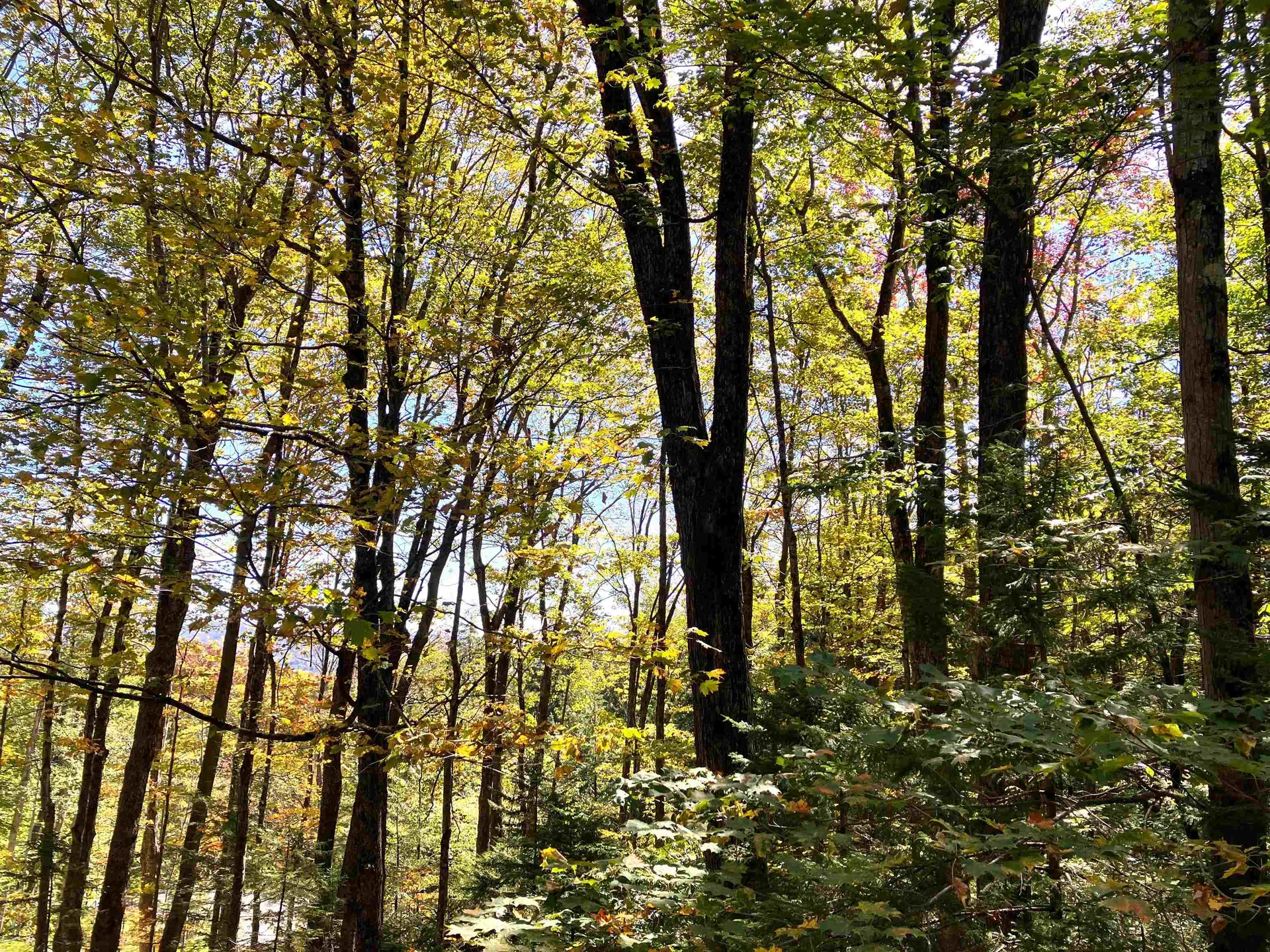 8 Little Bend Wilmington VT 05363