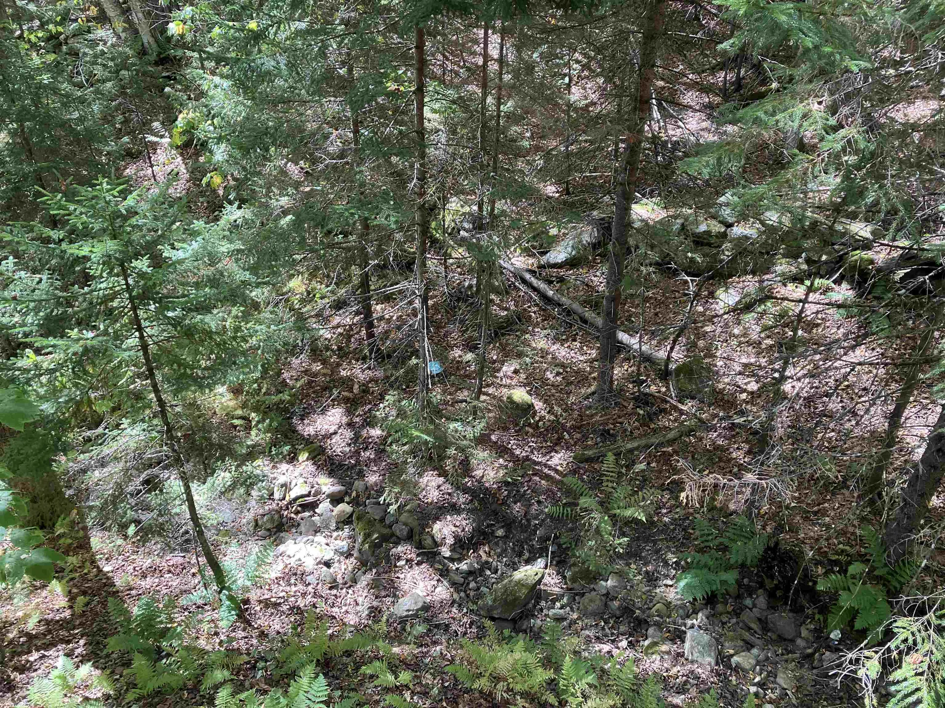 8 Little Bend Wilmington VT 05363