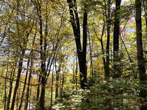 8 Little Bend Wilmington VT 05363