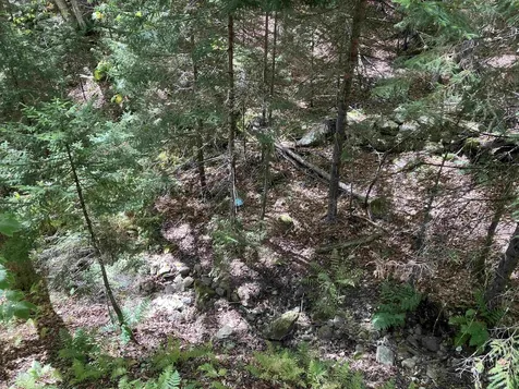 8 Little Bend Wilmington VT 05363