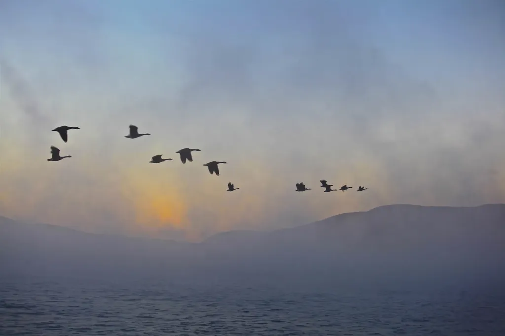 0 Lakewood Manor Road Newbury NH 03255