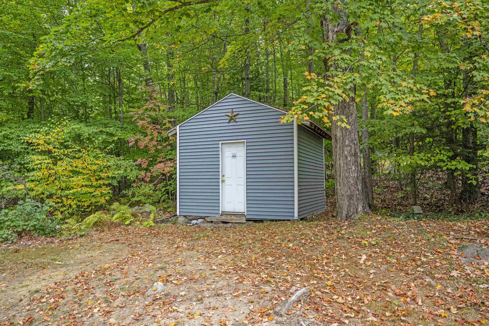 56 Beach Pond Road Wolfeboro NH 03894