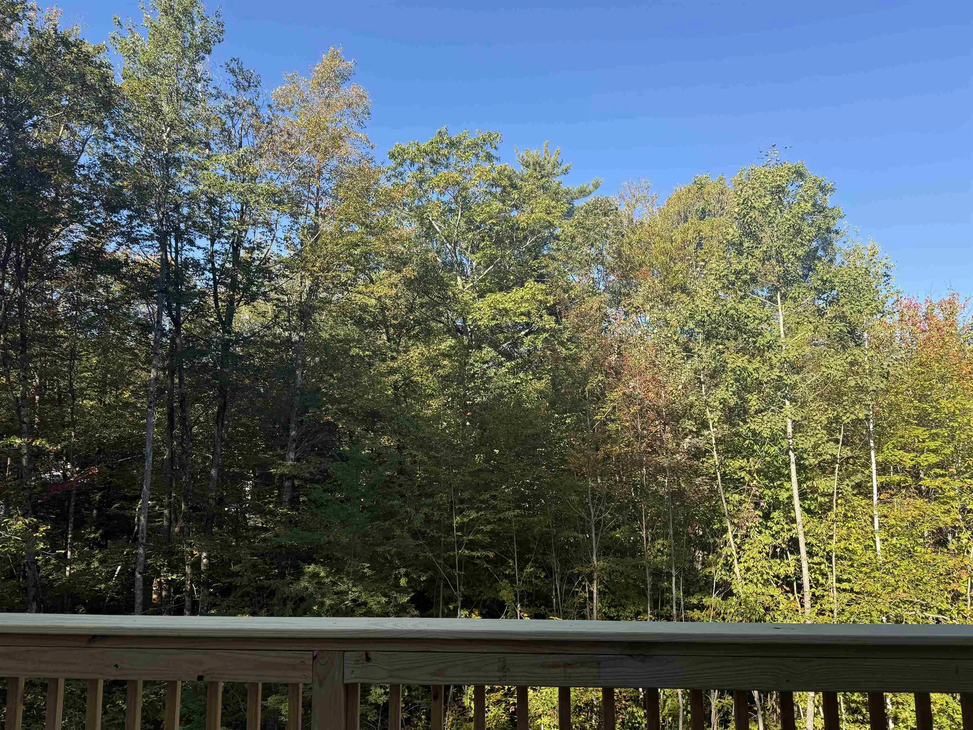 15 Acadia Way Conway NH 03818