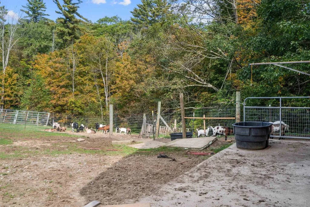 447 Center Road Hillsborough NH 03244