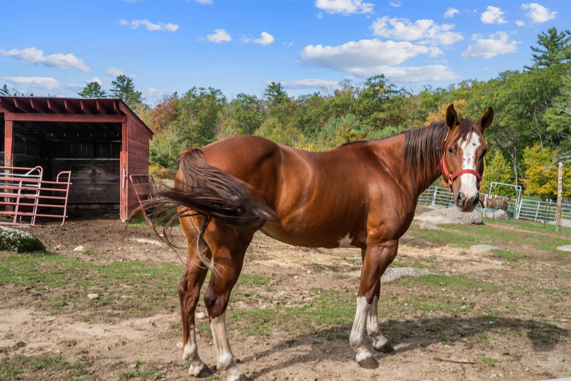 447 Center Road Hillsborough NH 03244