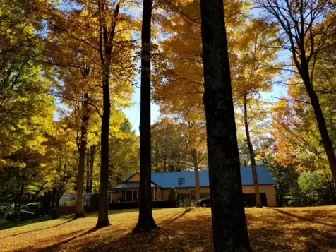 372 Fisher Road Orwell VT 05760