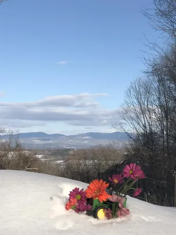 372 Fisher Road Orwell VT 05760