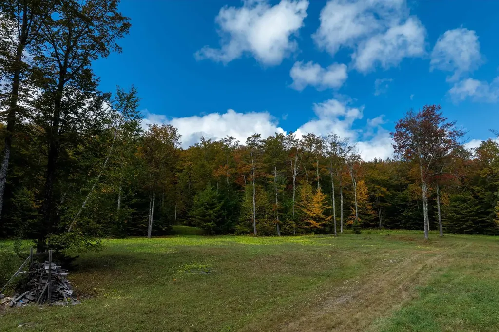 47 Whites Hill Road Dover VT 05341