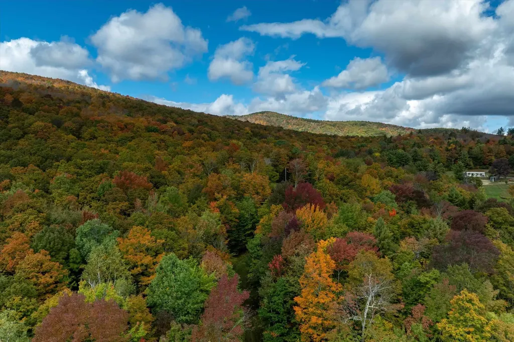 47 Whites Hill Road Dover VT 05341