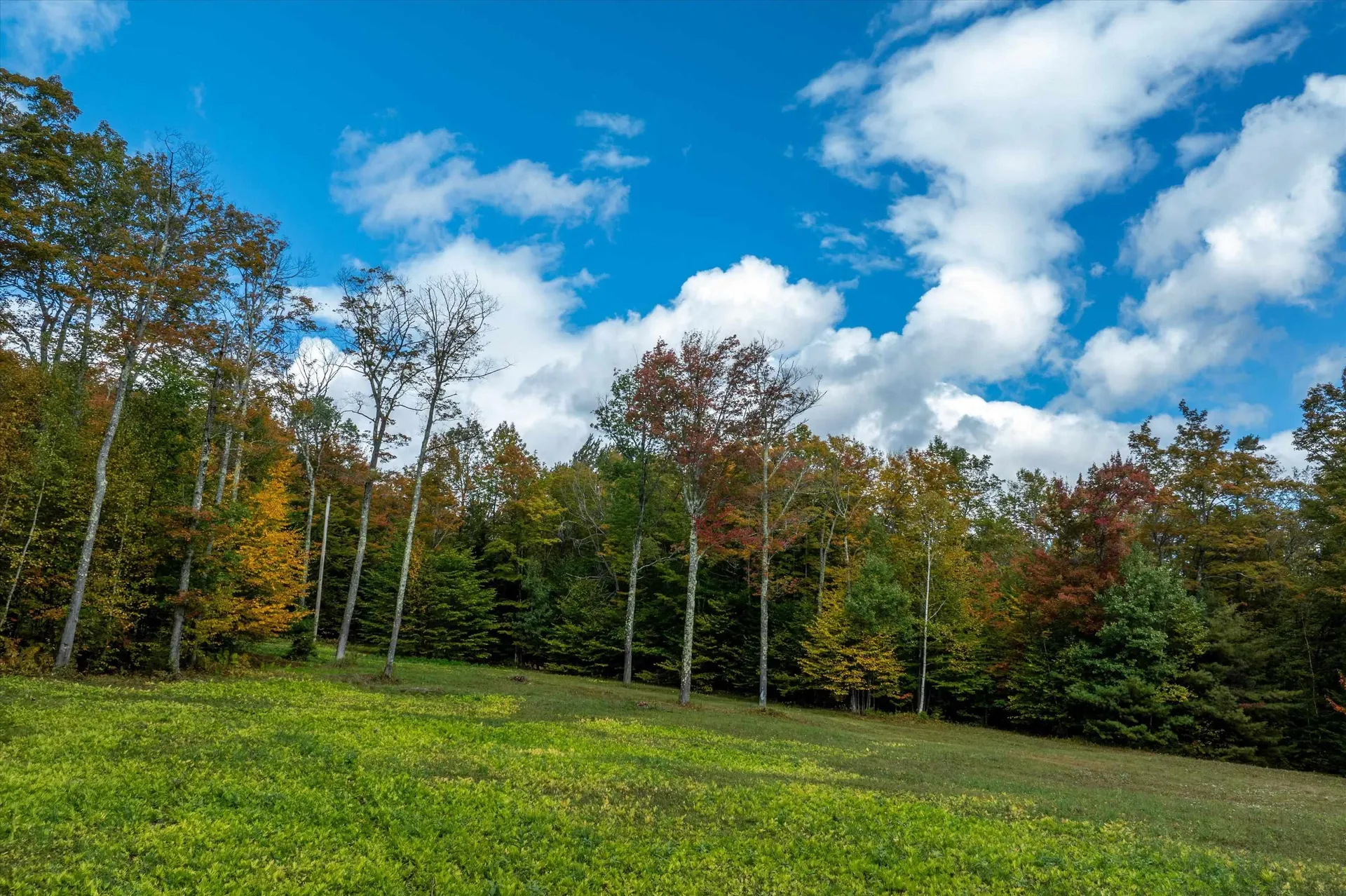 47 Whites Hill Road Dover VT 05341