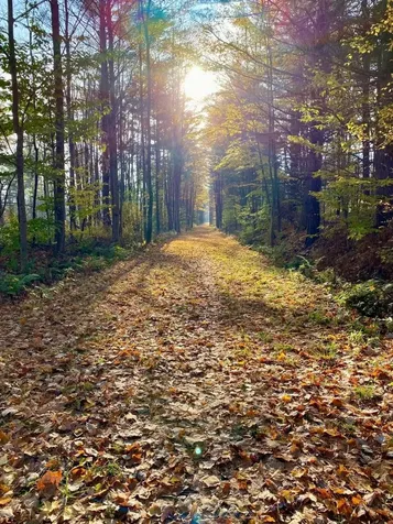 18 Phil Street Barre Town VT 05649