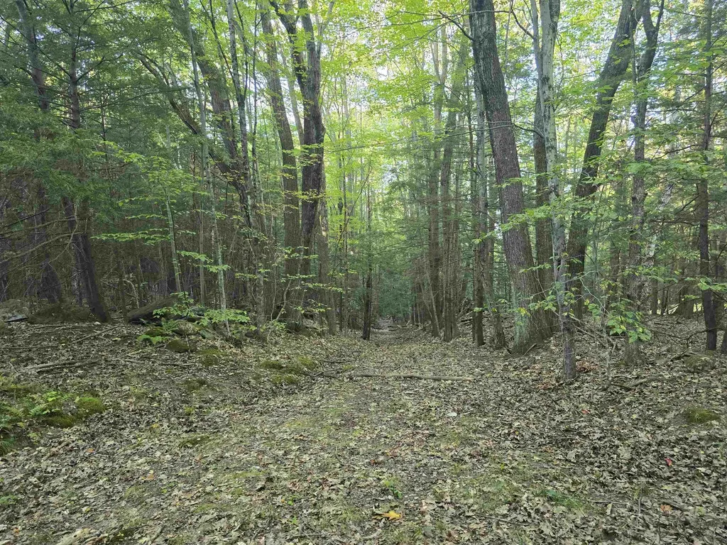 0 Thayer Road Westminster VT 05158