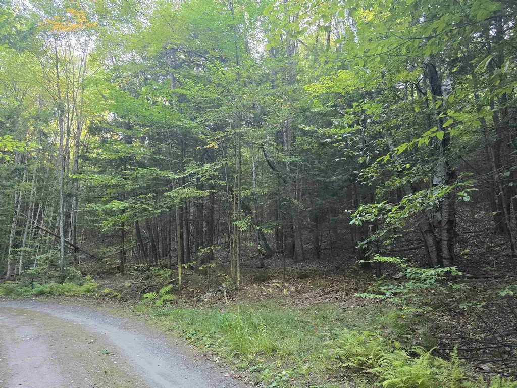 0 Thayer Road Westminster VT 05158