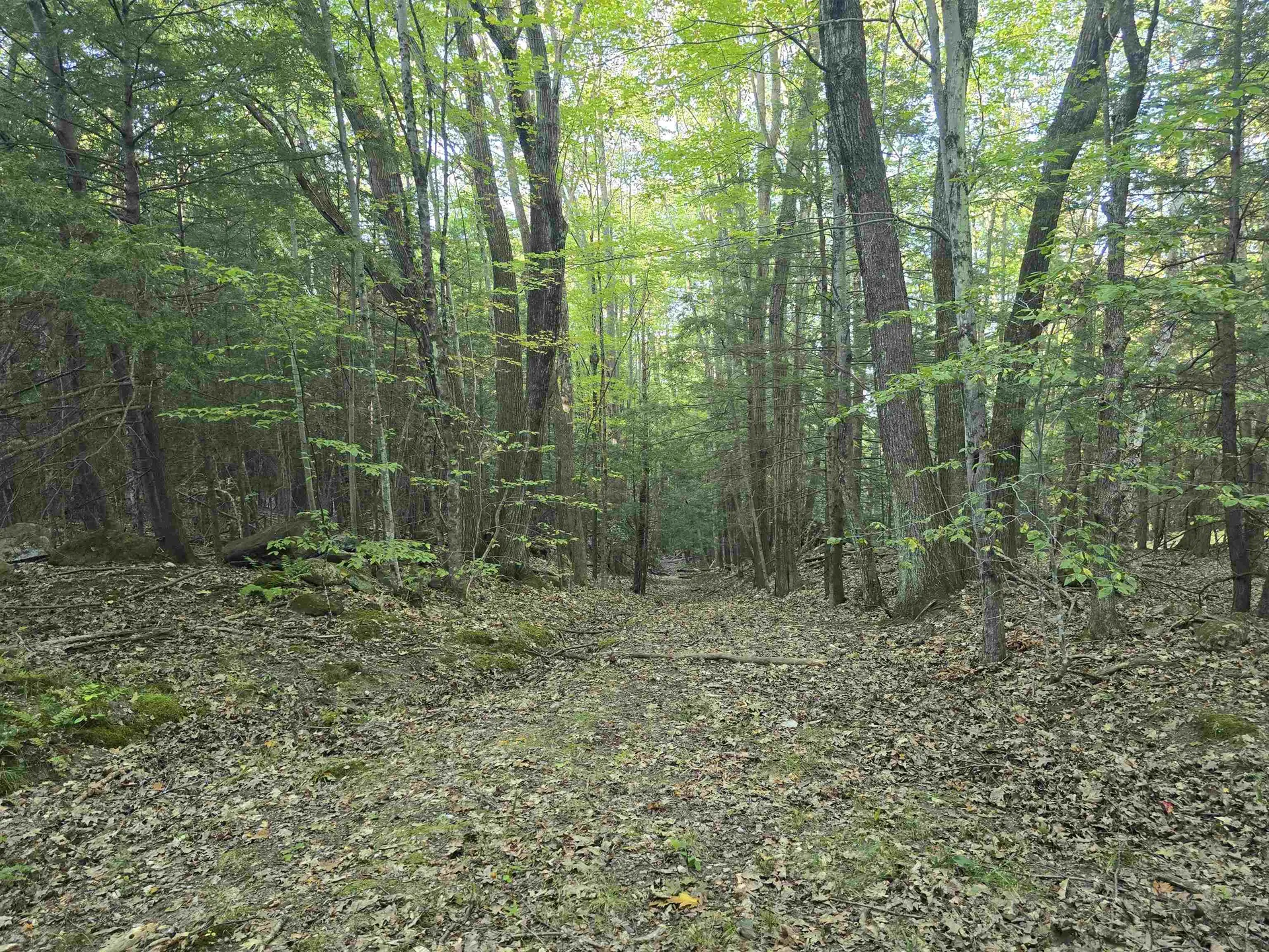 0 Thayer Road Westminster VT 05158