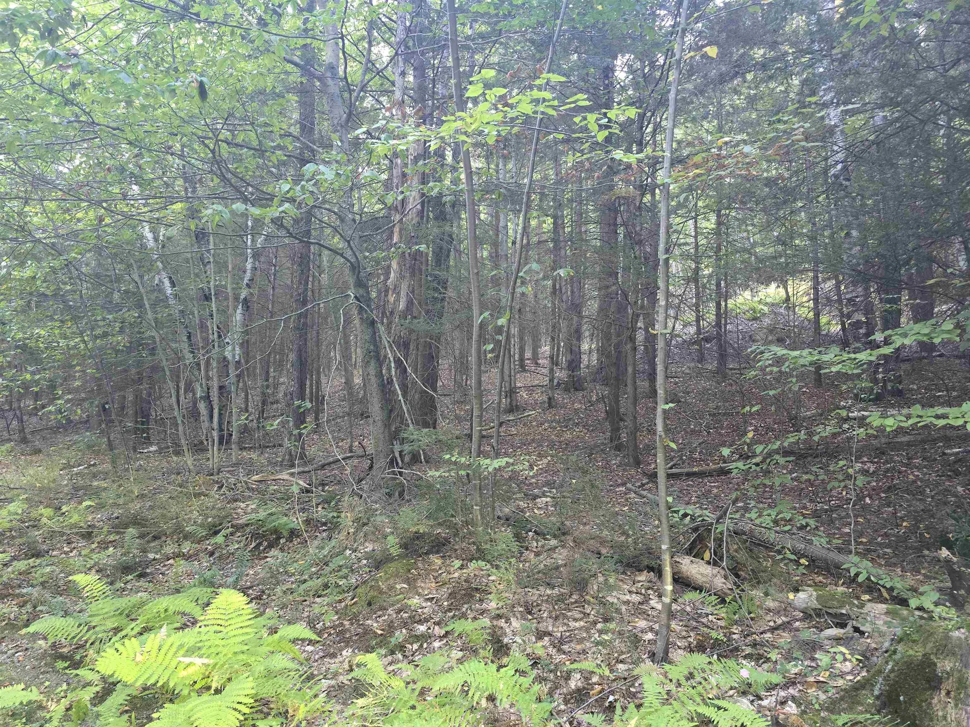 0 Thayer Road Westminster VT 05158