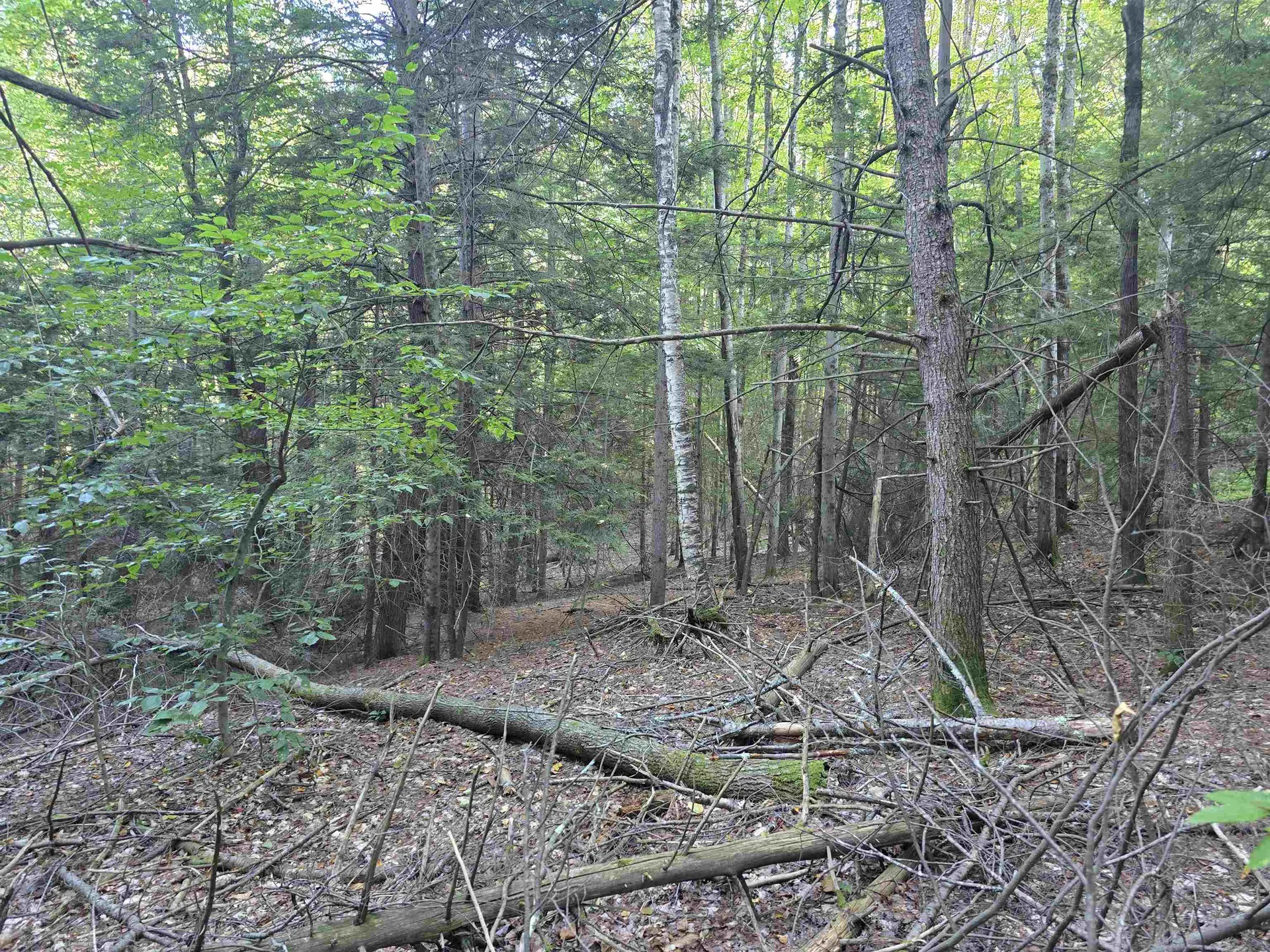 0 Thayer Road Westminster VT 05158