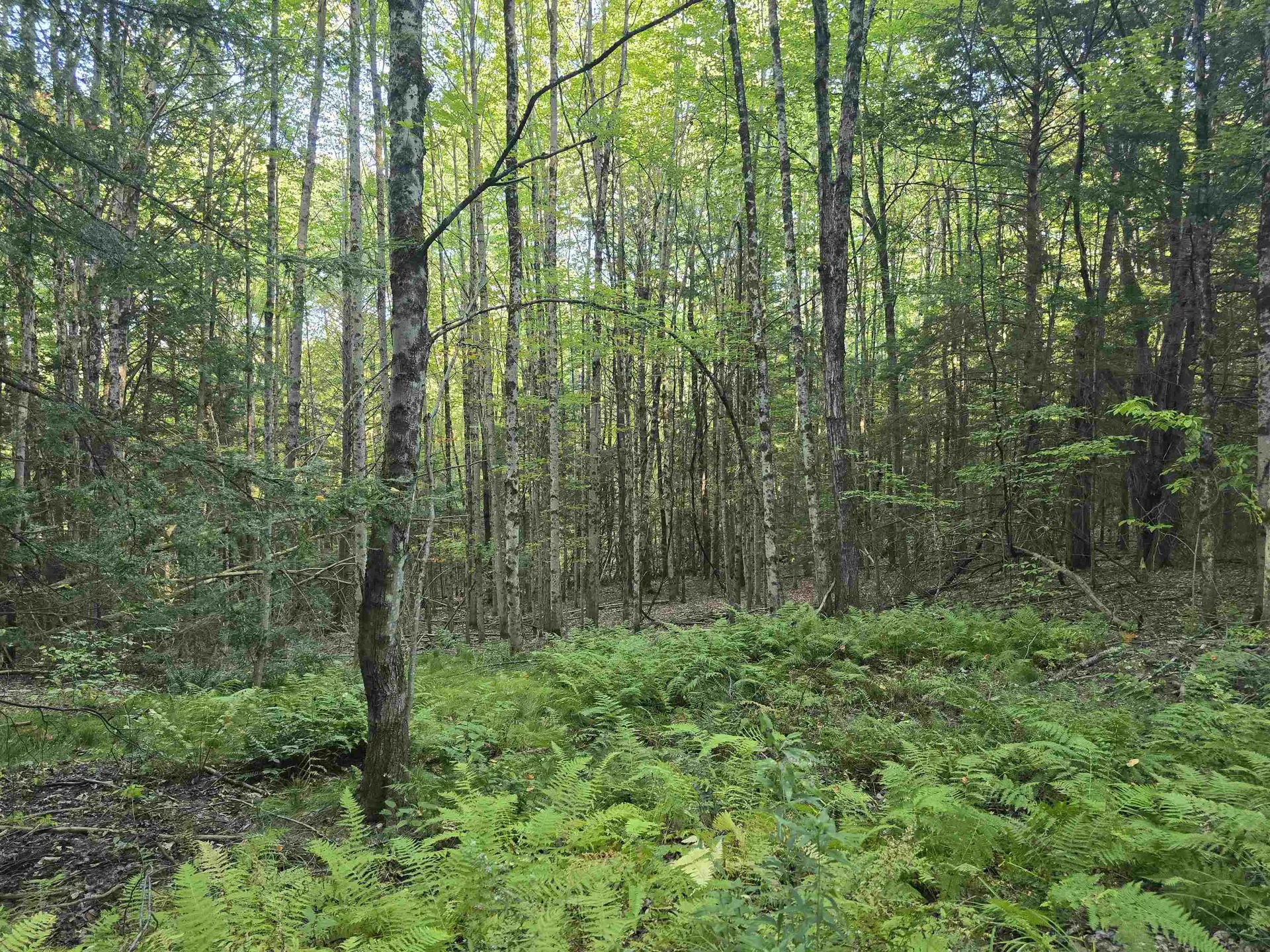 0 Thayer Road Westminster VT 05158