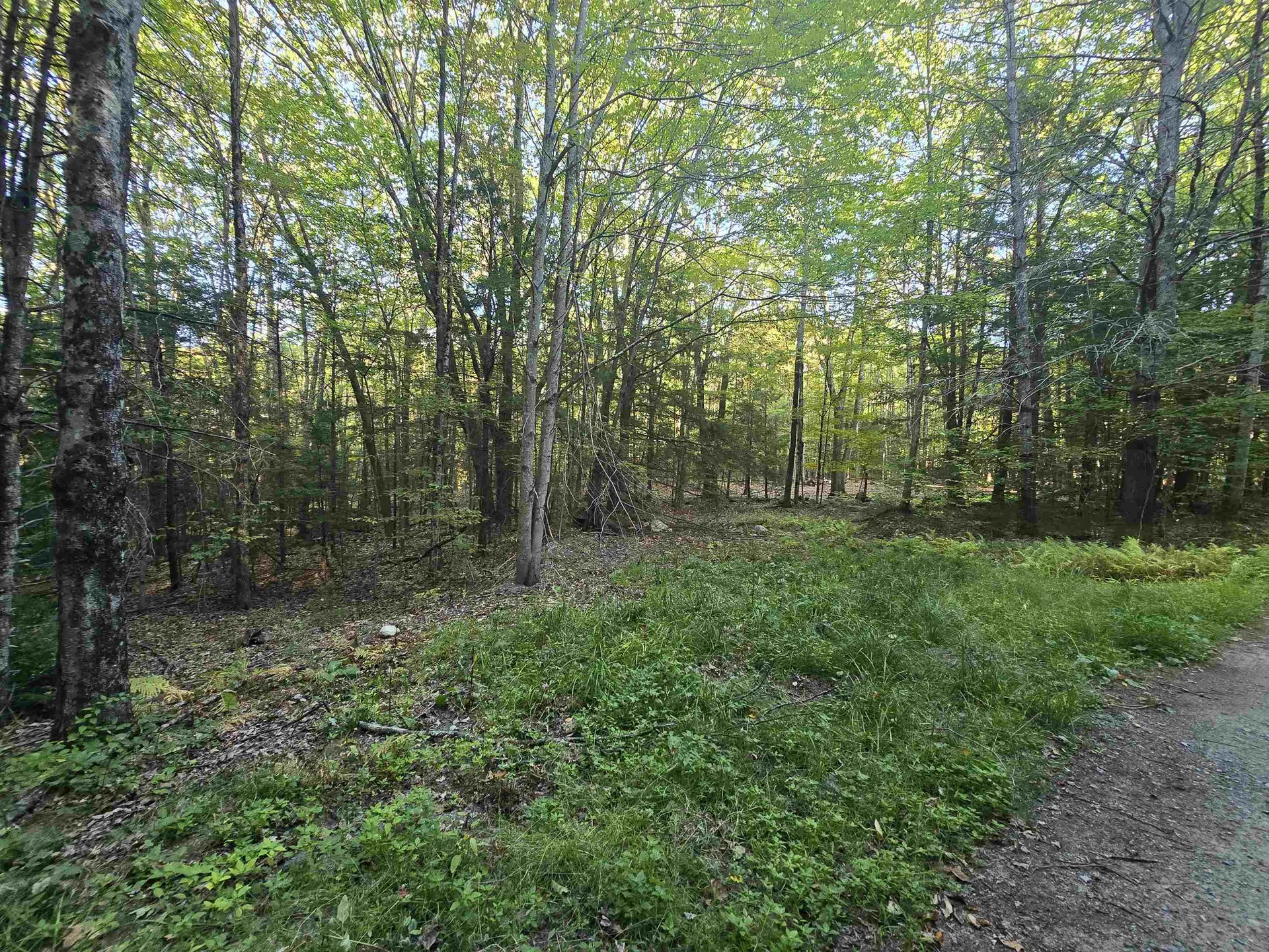 0 Thayer Road Westminster VT 05158