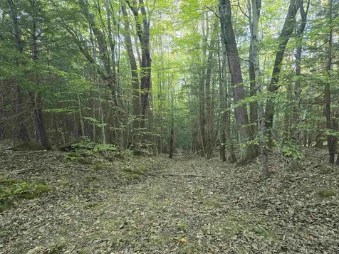 0 Thayer Road Westminster VT 05158