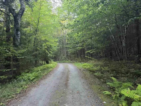 0 Thayer Road Westminster VT 05158