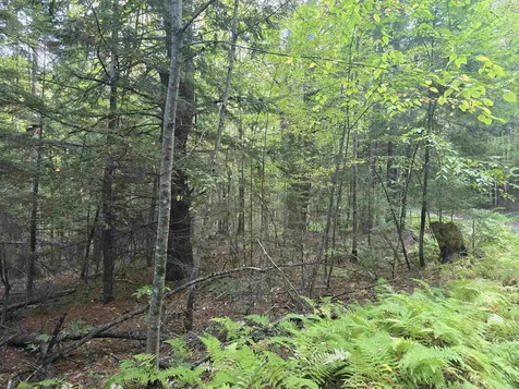 0 Thayer Road Westminster VT 05158