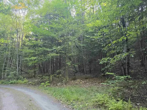 0 Thayer Road Westminster VT 05158