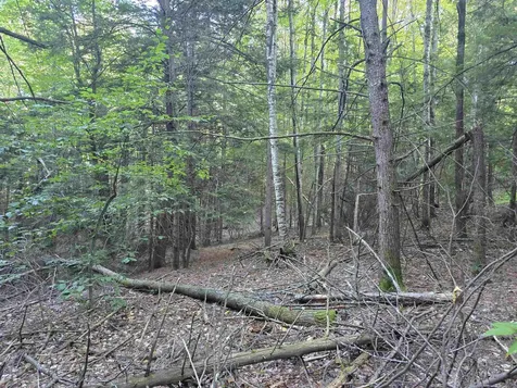 0 Thayer Road Westminster VT 05158