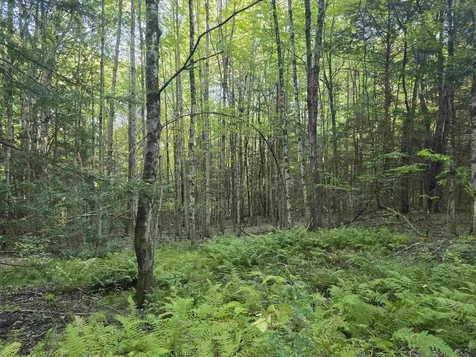 0 Thayer Road Westminster VT 05158