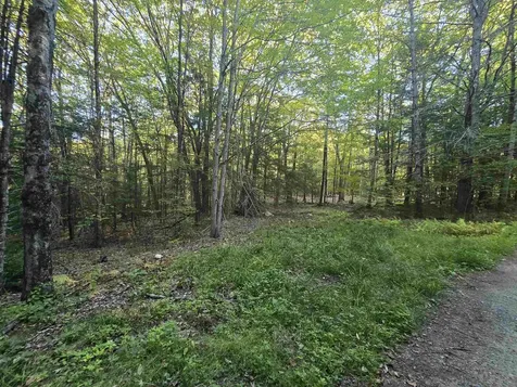 0 Thayer Road Westminster VT 05158