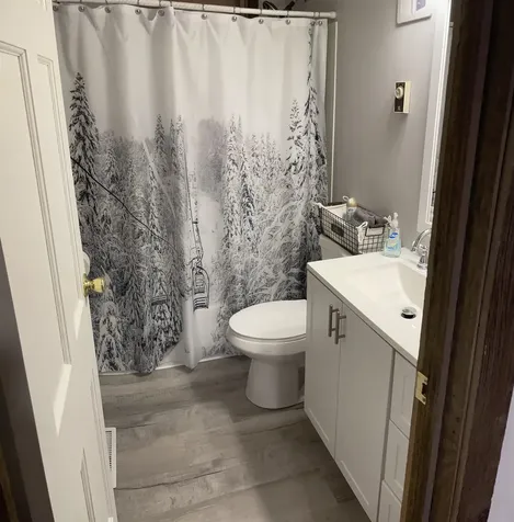 46 Town Farm Road Wilmington VT 05363