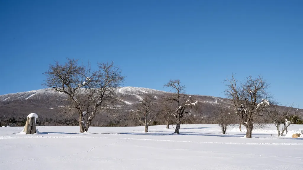 85 Pallottas Hill Road Ludlow VT 05149