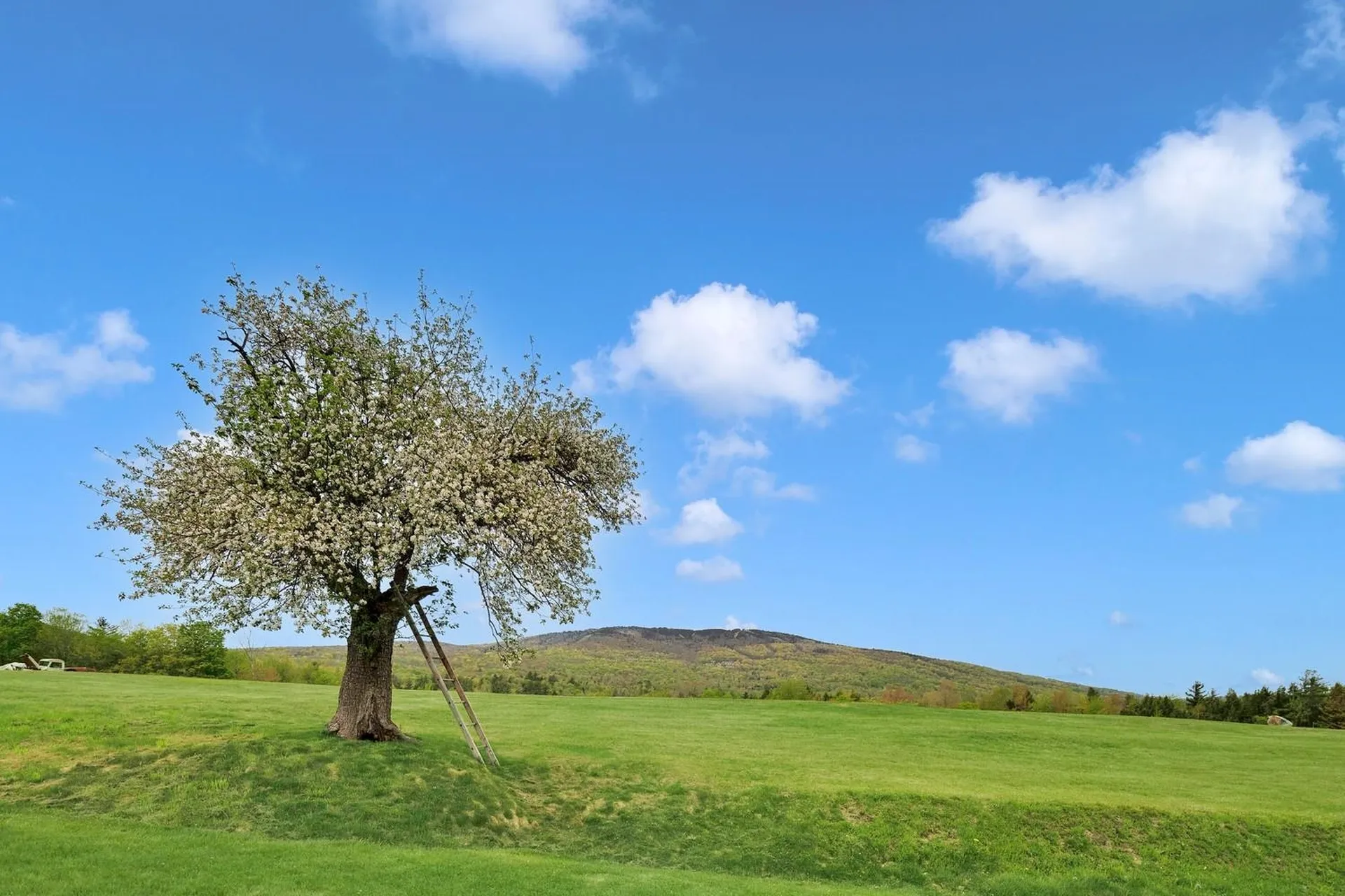 85 Pallottas Hill Road Ludlow VT 05149