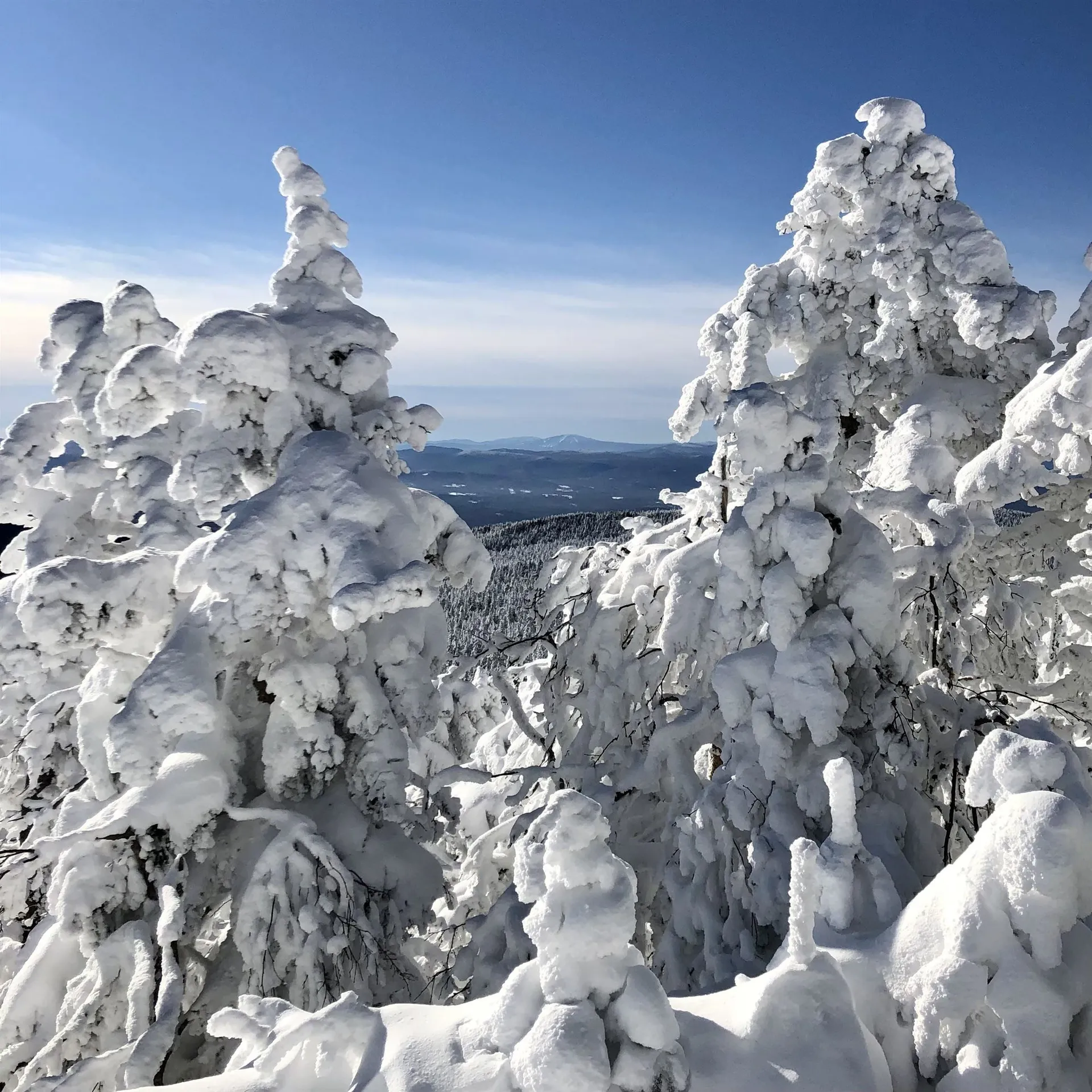 85 Pallottas Hill Road Ludlow VT 05149