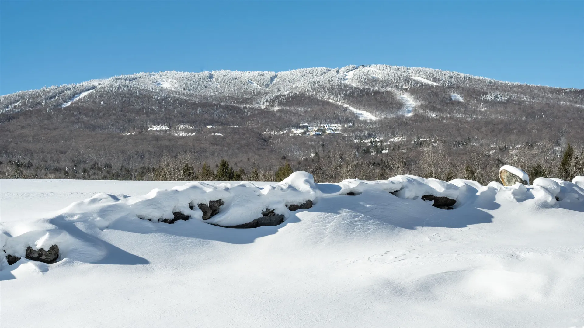 85 Pallottas Hill Road Ludlow VT 05149