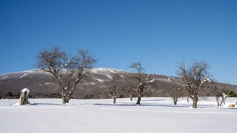 85 Pallottas Hill Road Ludlow VT 05149