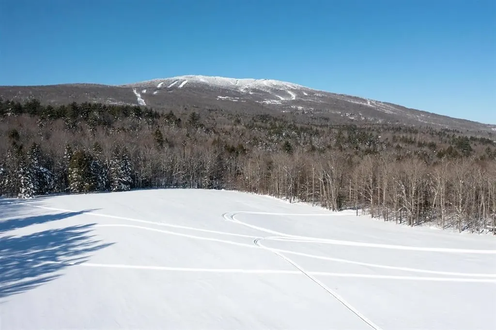 85 Pallottas Hill Ludlow VT 05149