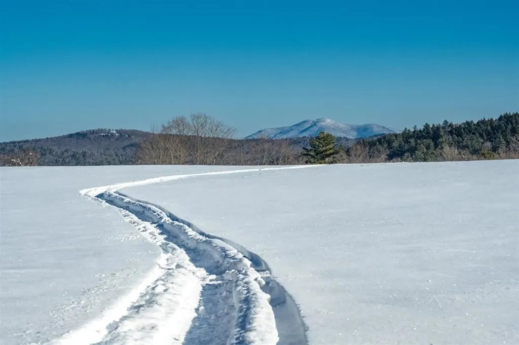 85 Pallottas Hill Ludlow VT 05149