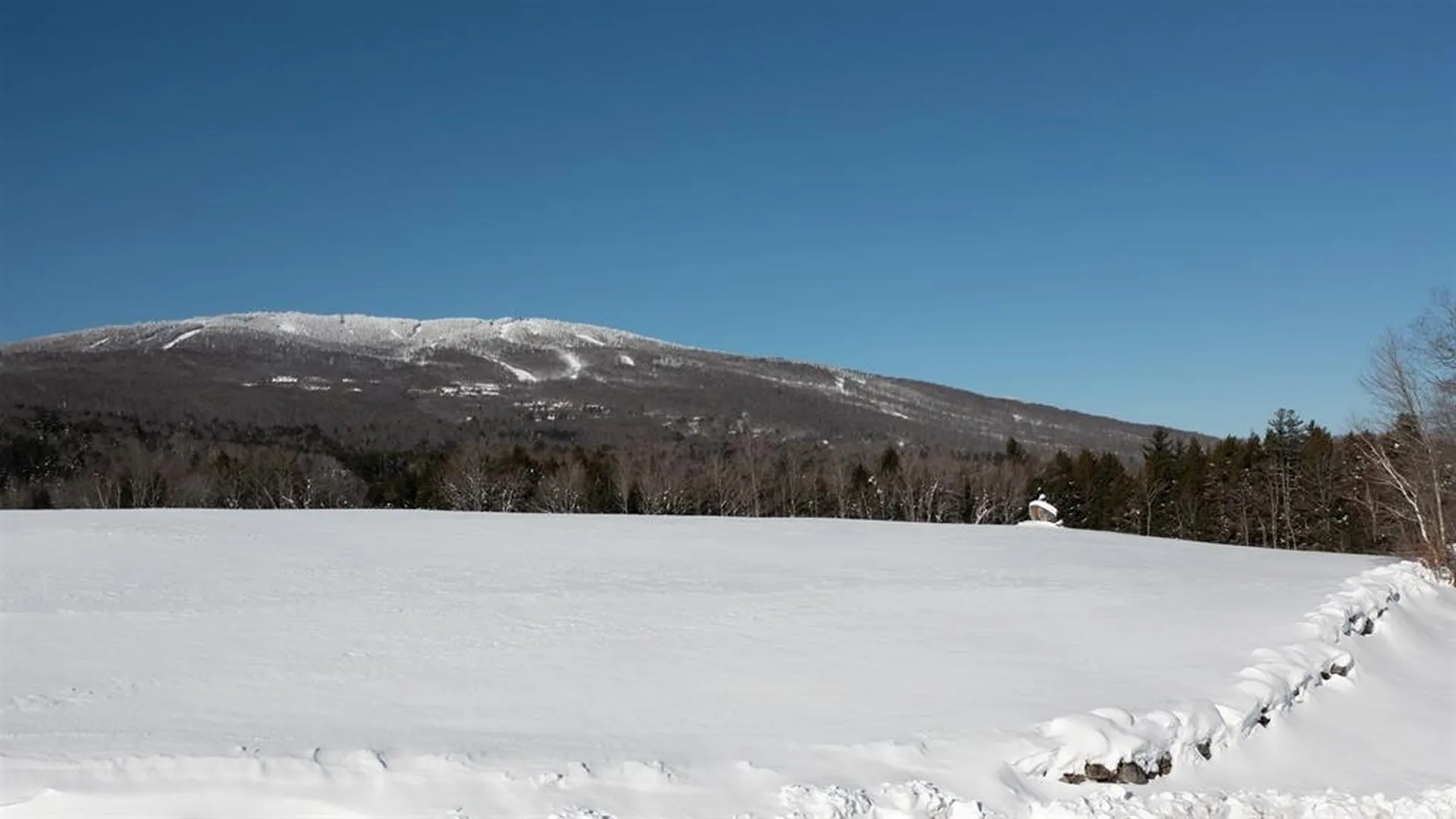 85 Pallottas Hill Ludlow VT 05149