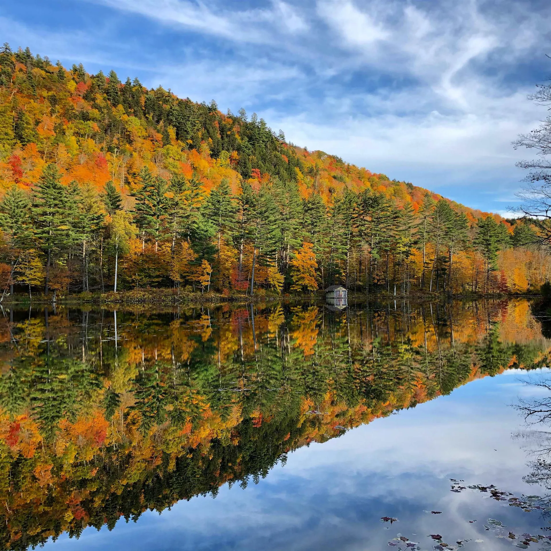 85 Pallottas Hill Ludlow VT 05149