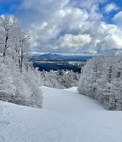 85 Pallottas Hill Ludlow VT 05149