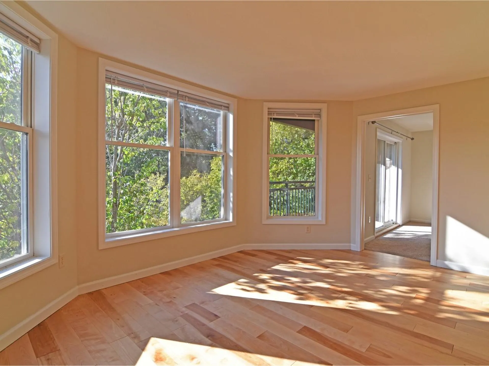 105 Claire Pointe Road Burlington VT 05408